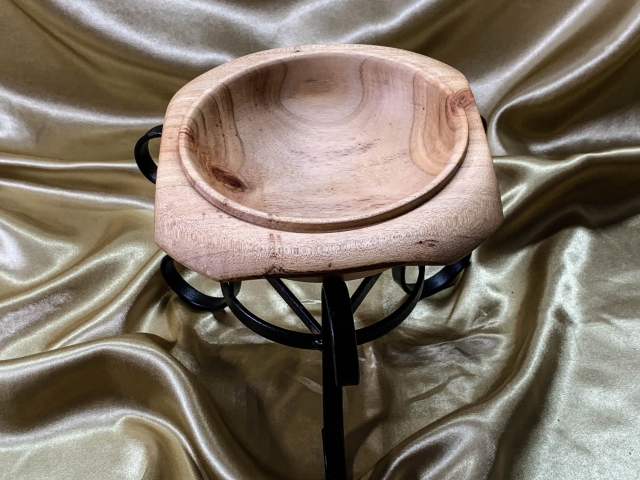 Black Wattle Decorator Bowl (Small) - DB20003-L6895