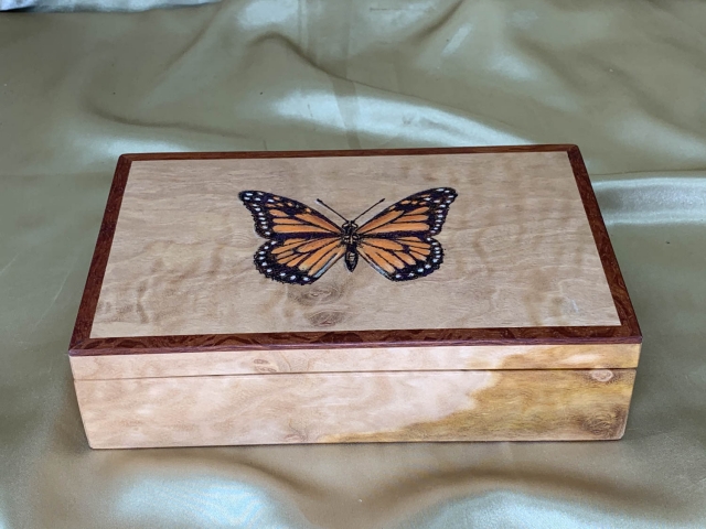 Premium Australian Blackbutt Keepsake Box with Butterfly Pyrography (PKBS20008-L9542
